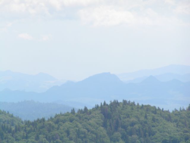 wycieczka (36)